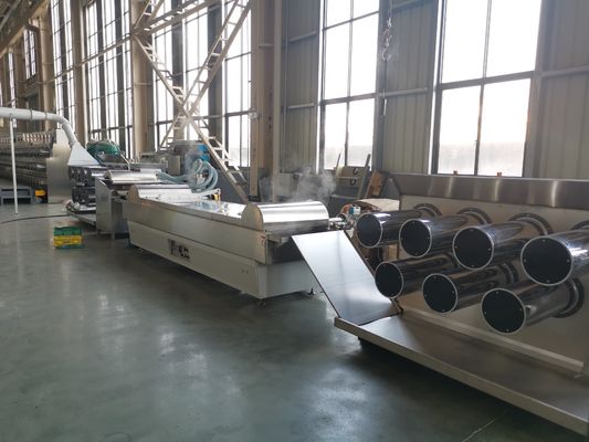 kopen 55kw 6400 van de de Extrudermachine van Dtex Nylon de Tuindecoratie online manufacture